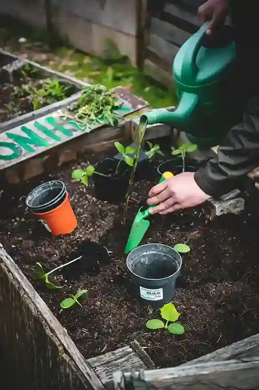  Soil Sense